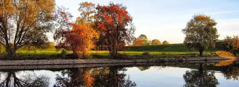Ein Kanal im Vordergrund mit Wiese und Bäumen am gegenüberliegenden Ufer.