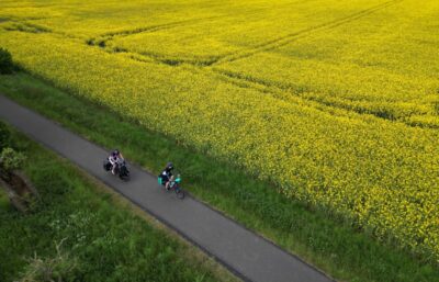 Luftaufnahme von zwei Radfahrern neben einem Rapsfeld.