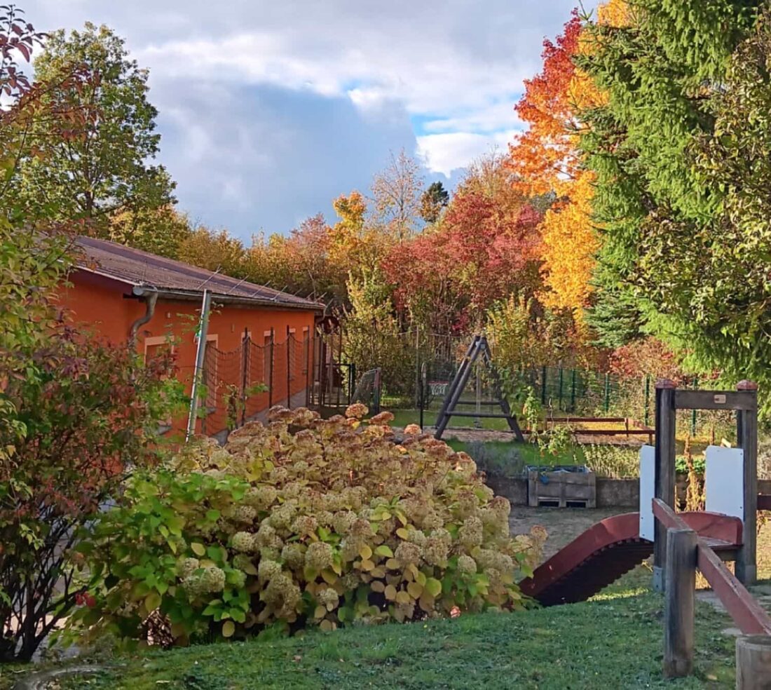 Herbstfarbene Büsche und Bäume, am linken Rand der orangefarbene Flachbau der Kita Niederfinow.